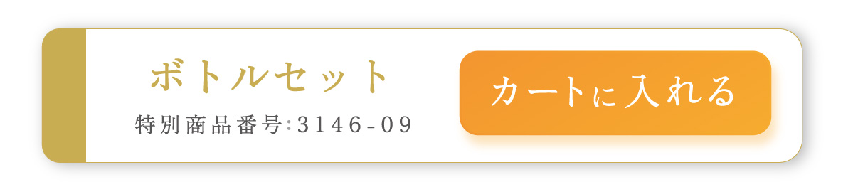 ボトルセット