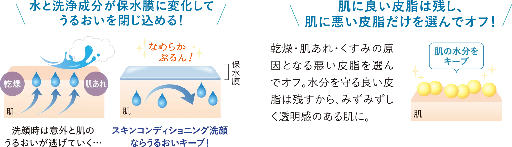 水と洗浄成分が保水膜に変化してうるおいを閉じ込める! 肌に良い皮脂は残し、肌に悪い皮脂だけを選んでオフ!