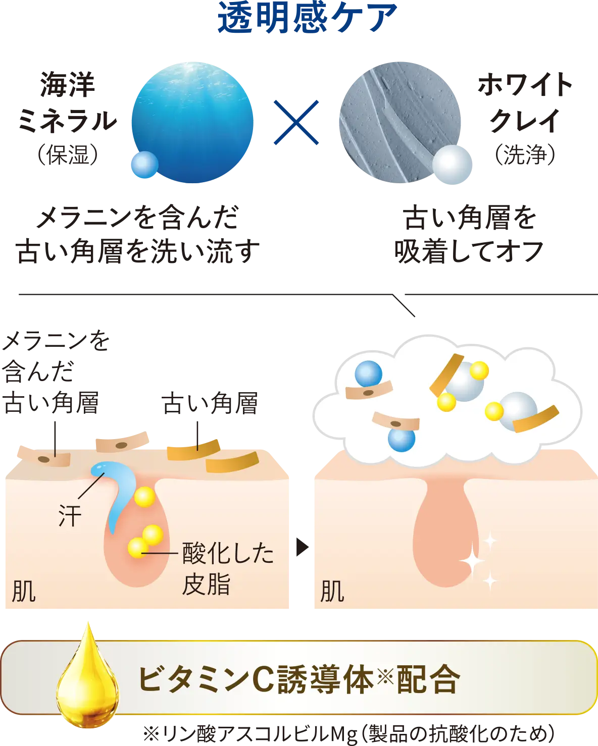 透明感ケア 海洋ミネラル(保湿)メラニンを含んだ古い角層を洗い流す×ホワイトクレイ(洗浄)古い角層を吸着してオフ
