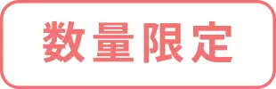 数量限定