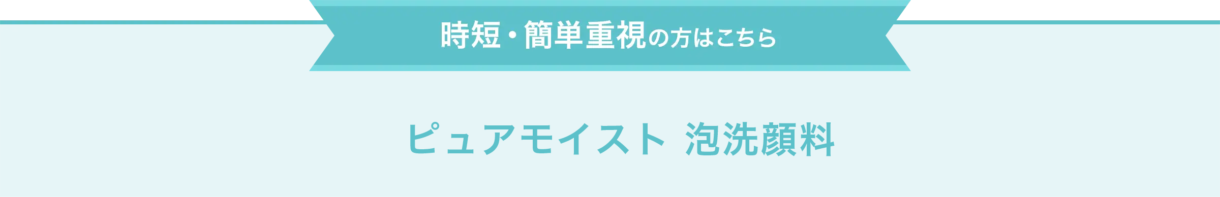 時短・簡単重視の方はこちら　ピュアモイスト 泡洗顔料