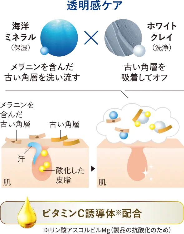 透明感ケア 海洋ミネラル(保湿)メラニンを含んだ古い角層を洗い流す×ホワイトクレイ(洗浄)古い角層を吸着してオフ