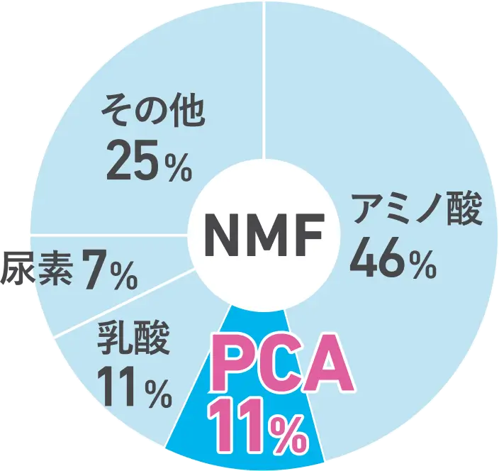 NMF（天然保湿因子）の円グラフ PCAが11%を占める