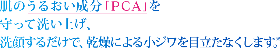 1.肌のうるおい成分「PCA」を守って洗い上げ、洗顔するだけで、乾燥による小ジワを目立たなくします。