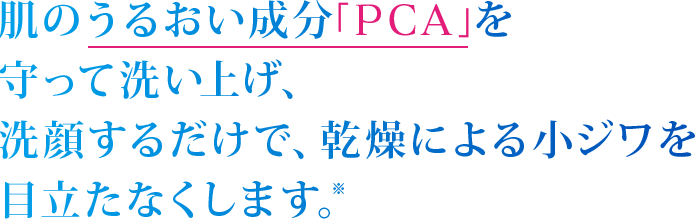 肌のうるおい成分「PCA」を守って洗い上げ、洗顔するだけで、乾燥による小ジワを目立たなくします。