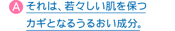 それは、若々しい肌を保つカギとなるうるおい成分。