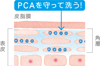 PCAを守って洗う！