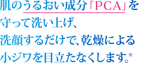 肌のうるおい成分「PCA」を守って洗い上げ、洗顔するだけで、乾燥による小ジワを目立たなくします。※