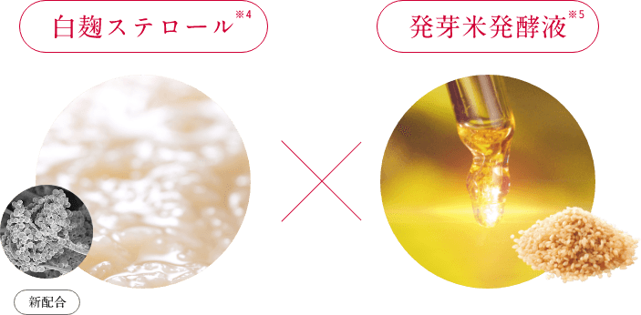 白麹ステロール×発芽米発酵液