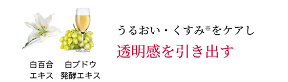 透明感を引き出す