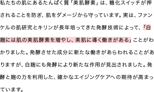 私たちの肌にあるたんぱく質「美肌酵素」は、糖化スイッチが押されることを防ぎ、肌をダメージから守っています。実は、ファンケルの肌研究とキリンが長年培ってきた発酵技術によって、「白麹には肌の美肌酵素を増やし、美肌に導く働きがある」ことがわかりました。発酵させた成分に新たな働きがあらわれることがありますが、白麹にも発酵により新たな作用が見出されました。発酵と麹の力を利用した、確かなエイジングケアへの期待が高まっています。