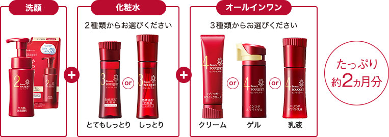 洗顔 + 化粧水 2種類からお選びください とてもしっとり or しっとり + オールインワン 3種類からお選びください クリーム or ゲル or 乳液 たっぷり約2ヵ月分