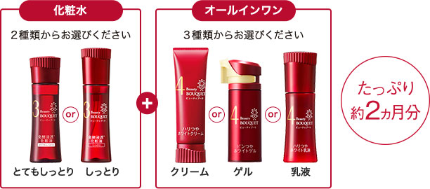 化粧水 2種類からお選びください とてもしっとり or しっとり + オールインワン 3種類からお選びください クリーム or ゲル or 乳液 たっぷり約2ヵ月分