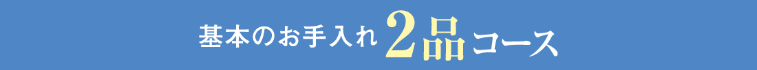 基本のお手入れ2品コース