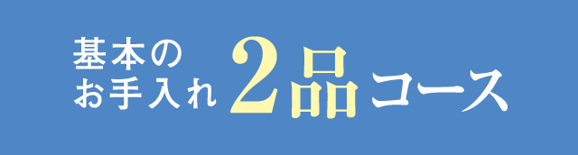 基本のお手入れ2品コース