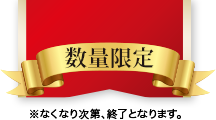 数量限定 ※なくなり次第、終了となります。