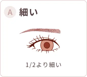 A 細い 1/2より細い