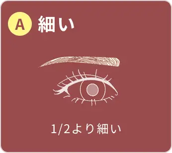 A 細い 1/2より細い
