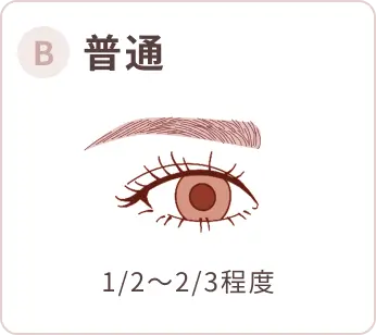 B 普通 1/2～2/3程度