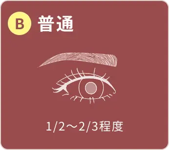B 普通 1/2～2/3程度