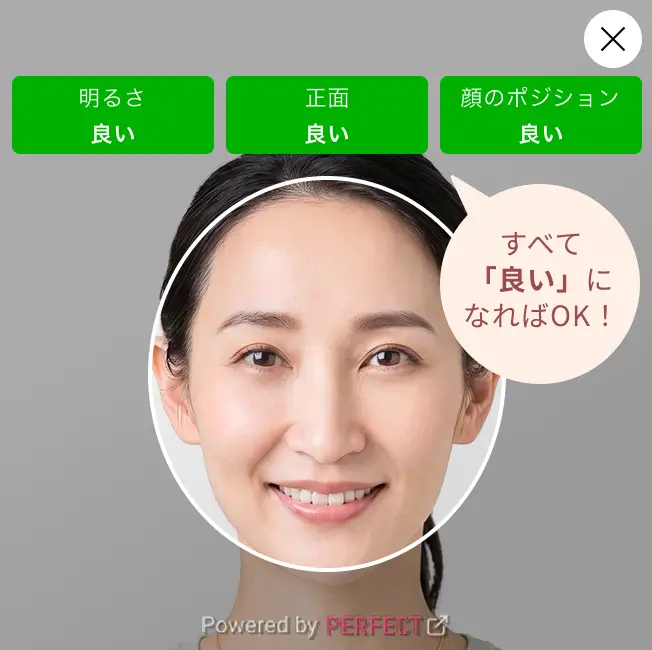 表示されたガイドに沿って調整