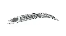 並行眉