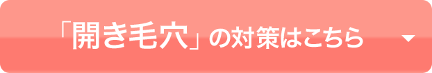 「開き毛穴」の対策はこちら