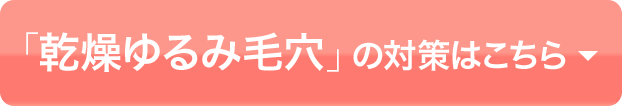 「乾燥ゆるみ毛穴」の対策はこちら