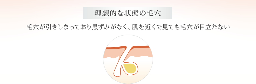 タイプ別 本気の 毛穴対策 無添加化粧品通販のファンケルオンライン