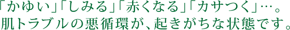 「かゆい」「しみる」「赤くなる」「カサつく」…。肌トラブルの悪循環が、起きがちな状態です。