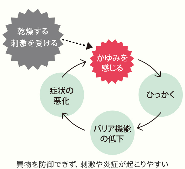 乾燥する刺激を受ける かゆみを感じる ひっかく バリア機能の低下 症状の悪化 異物を防御できず、刺激や炎症が起こりやすい