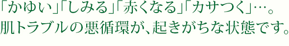 「かゆい」「しみる」「赤くなる」「カサつく」…。肌トラブルの悪循環が、起きがちな状態です。