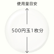 使用量目安 500円玉1枚分