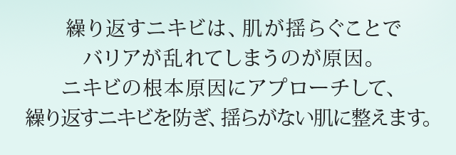 繰り返す大人ニキビ肌を、漢植物エキスなどの美容成分でケアし、殺菌剤不使用で、ニキビのできにくいスベスベ肌を育みます。