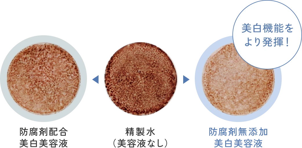 防腐剤配合 美白美容液 精製水(美容液なし) 防腐剤無添加 美白美容液 美白機能を より発揮!
