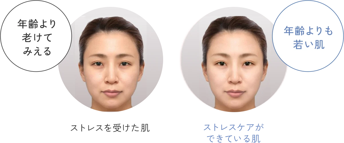 ストレスを受けた肌 年齢より老けてみえる 年齢よりも若い肌 ストレスケアができている肌