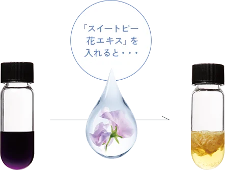 「スイートピー花エキス」を入れると・・・