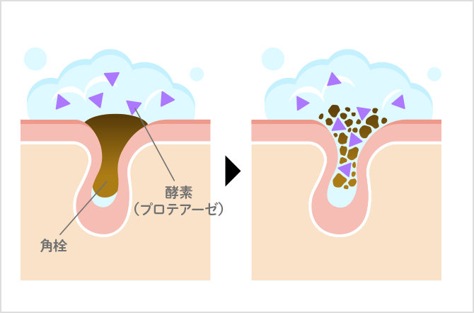 ディープクリア洗顔パウダー │ 無添加化粧品通販のファンケルオンライン