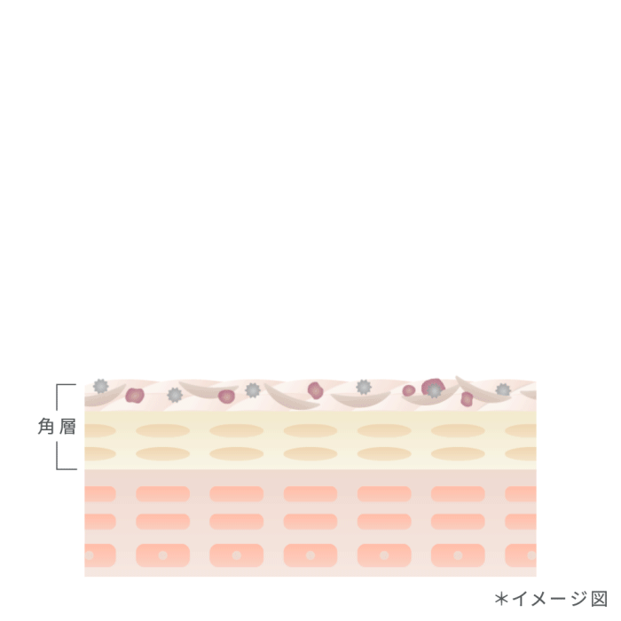 汚れを落としてうるおいは奪わないクレンジングのメカニズム