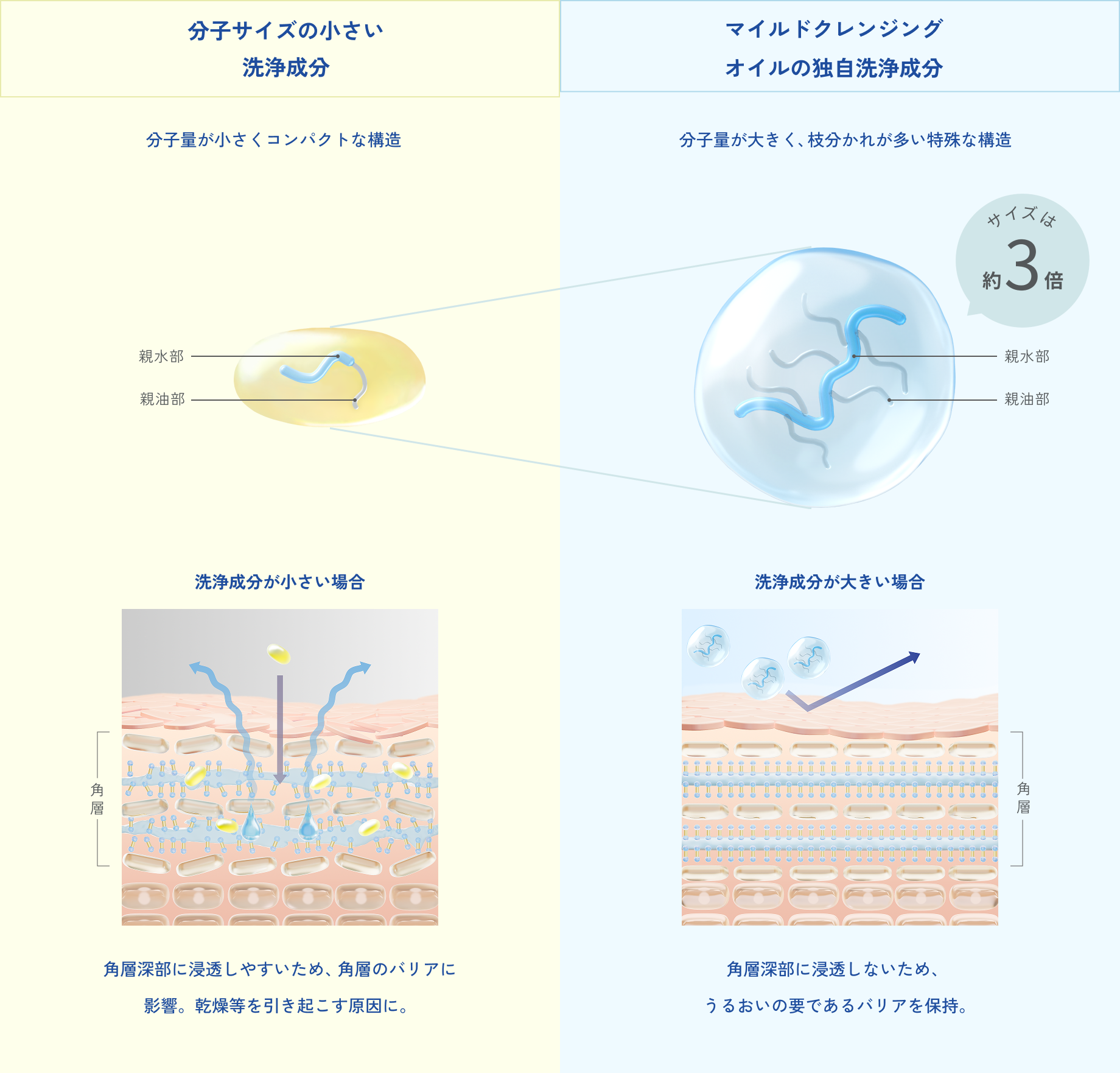 分子サイズの小さい洗浄成分マイルドクレンジングオイルの独自洗浄成分