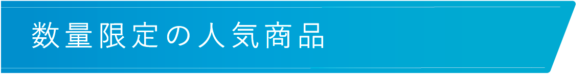数量限定の人気商品