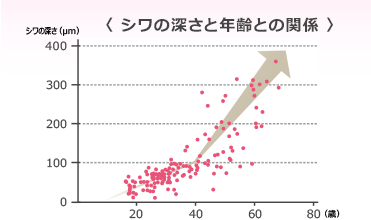 シワの深さと年齢との関係