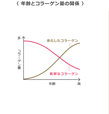 年齢とコラーゲン量の関係