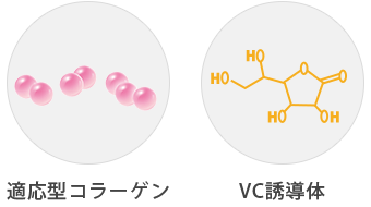 適応型コラーゲン VC誘導体