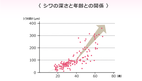 シワの深さと年齢との関係