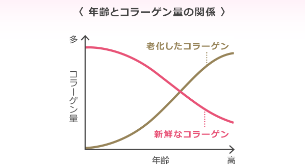 年齢とコラーゲン量の関係