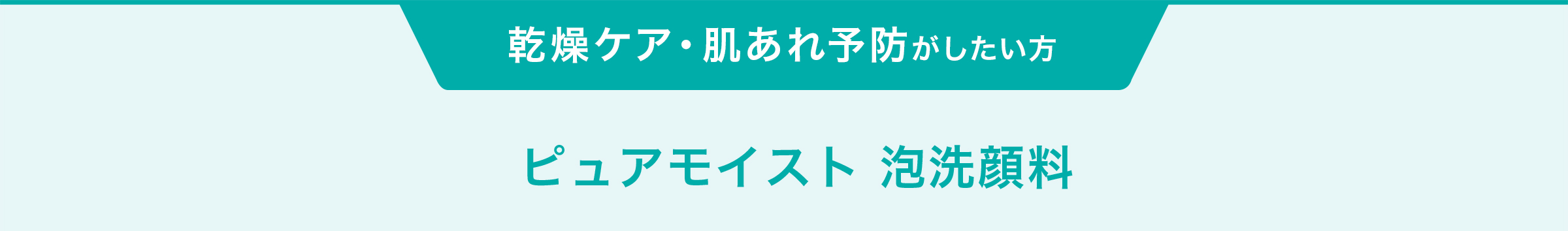 乾燥ケア・肌あれ予防がしたい方 ピュアモイスト 泡洗顔料