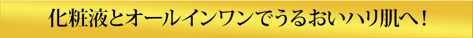 [初回限定半額以下]化粧液とオールインワンでうるおいハリ肌へ！