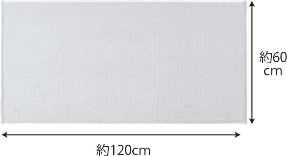 約60cm×約120cm