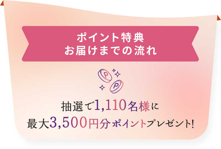ポイントお届けまでの流れ 抽選で1,110名様に
          最大3,500円分ポイントプレゼント！